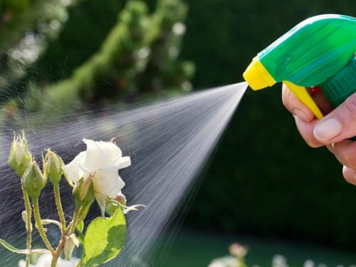 Gartenpflege und Außenreinigung im Rahmen eines ganzjährigen Objektservice