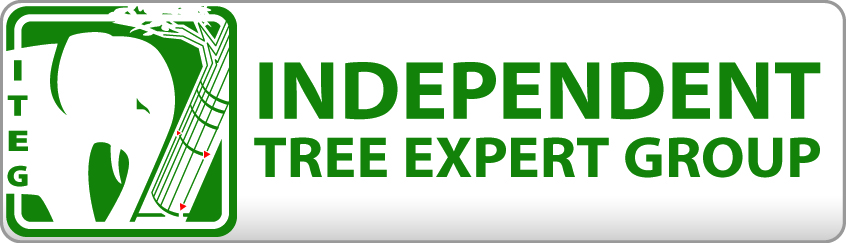 Logo Independent Tree Expert Group