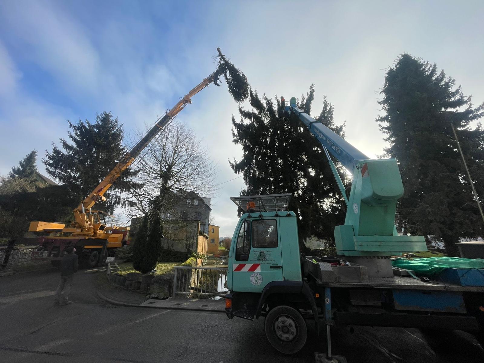 Hubarbeitsbühne und Kran der Baum- und Gartenpflege Kraus beim kombinierten Abtragen eines Nadelbaums.