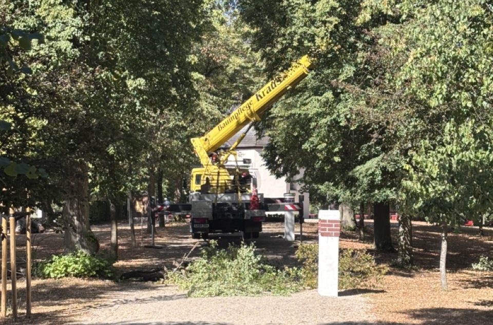 Gelber Hubsteiger der Baum- und Gartenpflege Kraus mit ausgefahrenem Ausleger zwischen hohen Bäumen.
