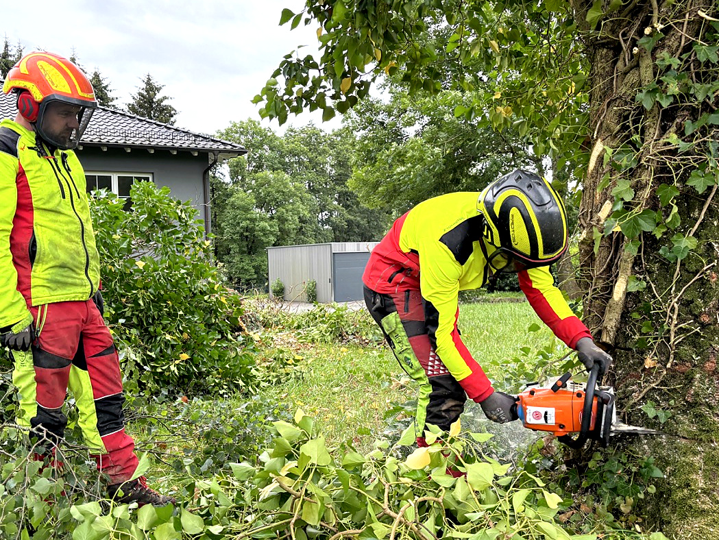 Zwei Mitarbeiter in Schutzkleidung bei der motormanuellen Baumfällung in einem Garten