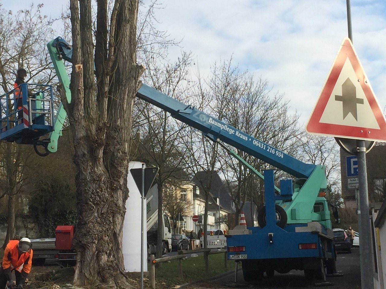 Mitarbeiter der Baum- und Gartenpflege Kraus bei Baumarbeiten aus einer Hubarbeitsbühne an einer Straße.