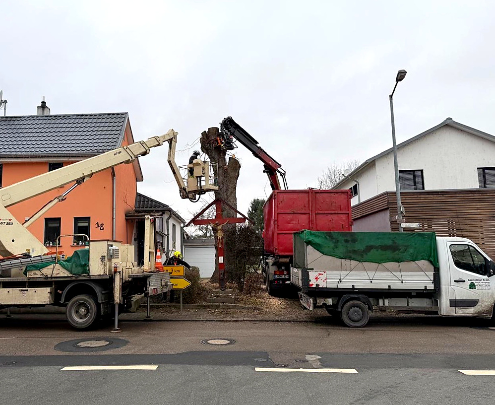 Eigene Kran-, Hubarbeitsbühnen- und Transportfahrzeuge der Baum- und Gartenpflege Kraus bei einem Baumeinsatz in Eschhofen.