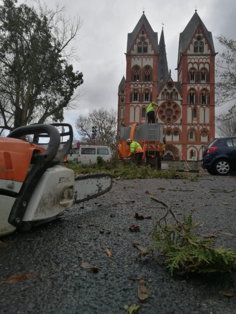 Motorsäge auf Platz vor Limburger Dom
