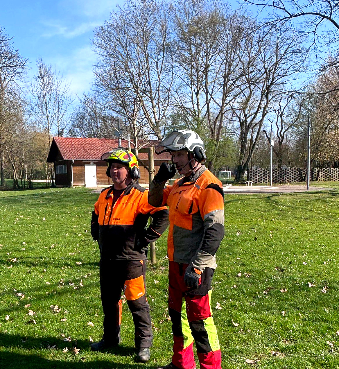 Zwei Mitarbeiter mit Schutzhelm bei der Einsatzbesprechung vor einer Baumfällung