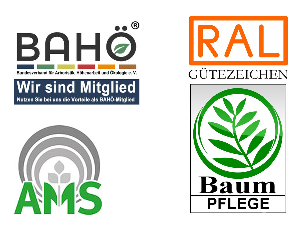 Bild Compilation aus BAHÖ-Zertifikat, AMS-Arbeitsschutzzertifika und RAL-Gütezeichenzertifika Baumpflege der Baum- und Gartenpflege Kraus.