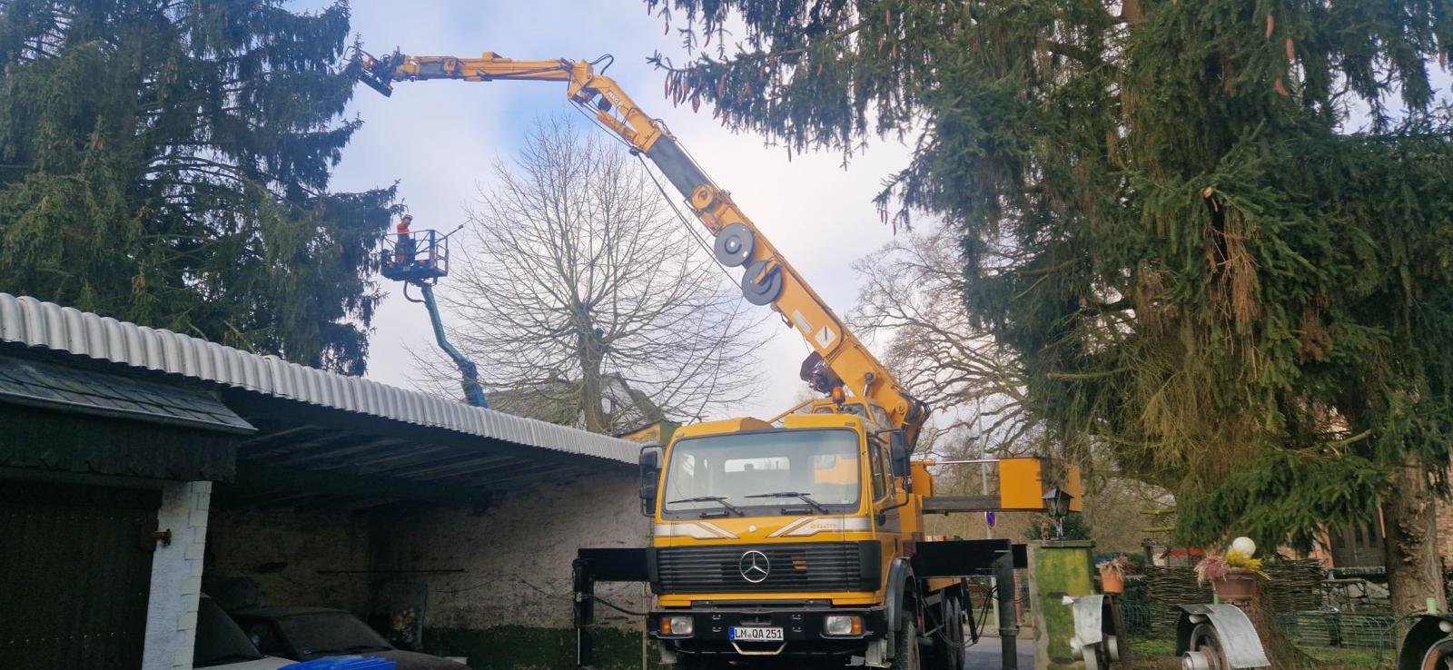 Kompaktes Kranfahrzeug mit ausgefahrenem Ausleger bei Arbeiten an einem Nadelbaum neben einem Gebäude