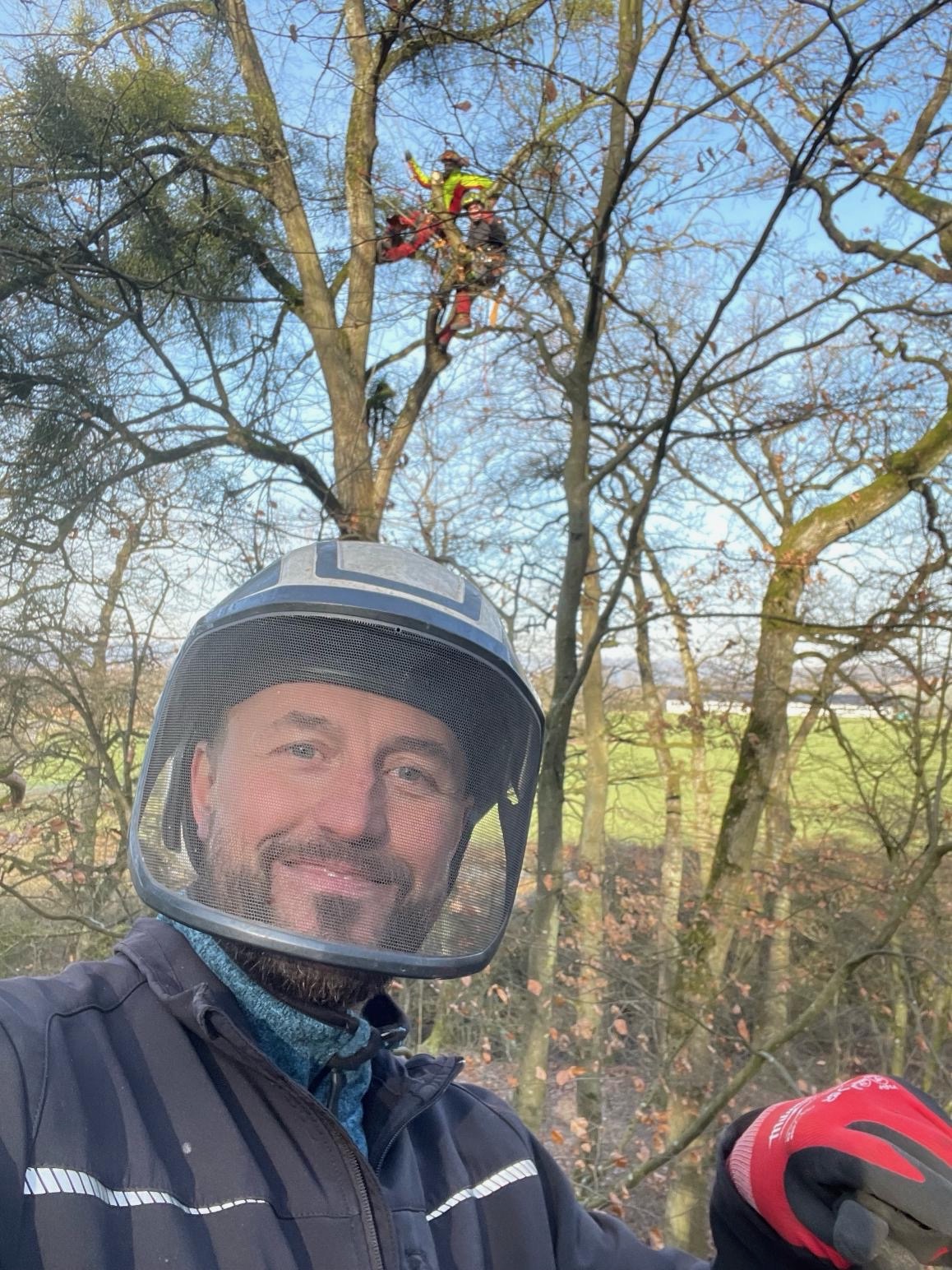 Baumpfleger mit Schutzhelm und Gesichtsschutz bei Arbeiten im Baum