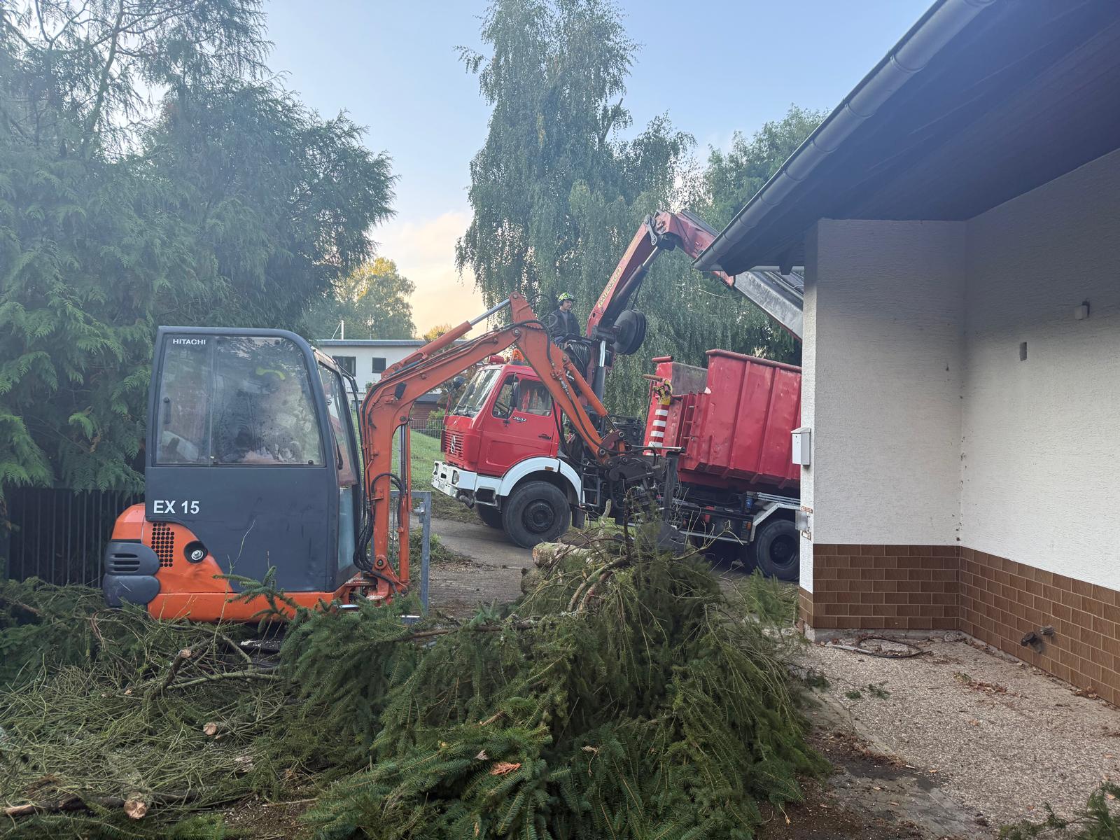 Minibagger und Lkw-Ladekran beim maschinellen Räumen von Ast- und Stammholz auf engem Grundstück