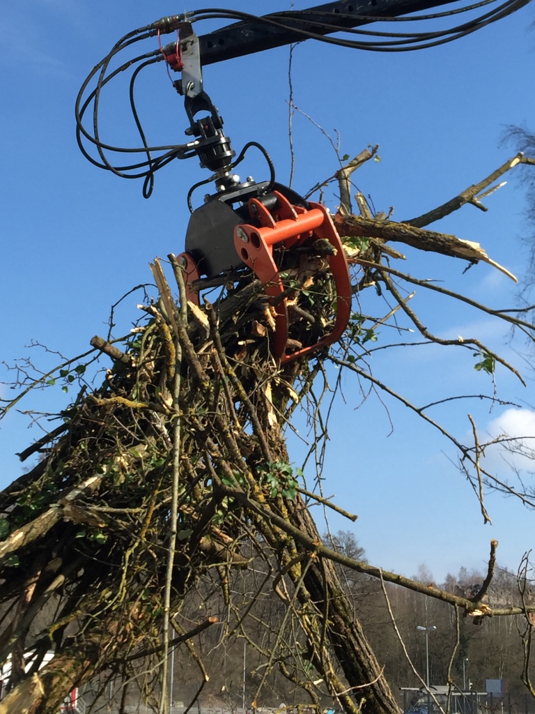 Hydraulische Greifzange am Kran hebt gebündeltes Astmaterial kontrolliert aus dem Arbeitsbereich
